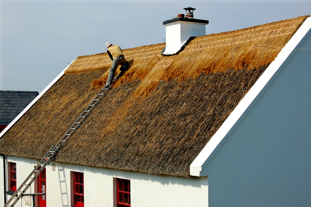 maintenance of the roofs